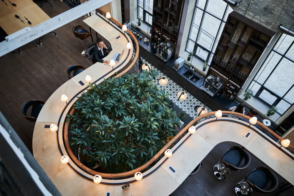 Cafe with Biophilic Design