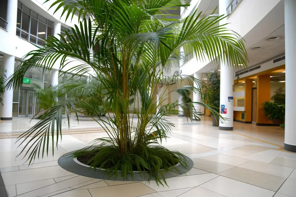 E.g. Artificial Plant Installation