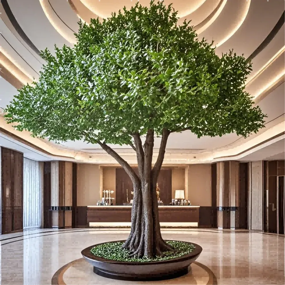 Olive Tree