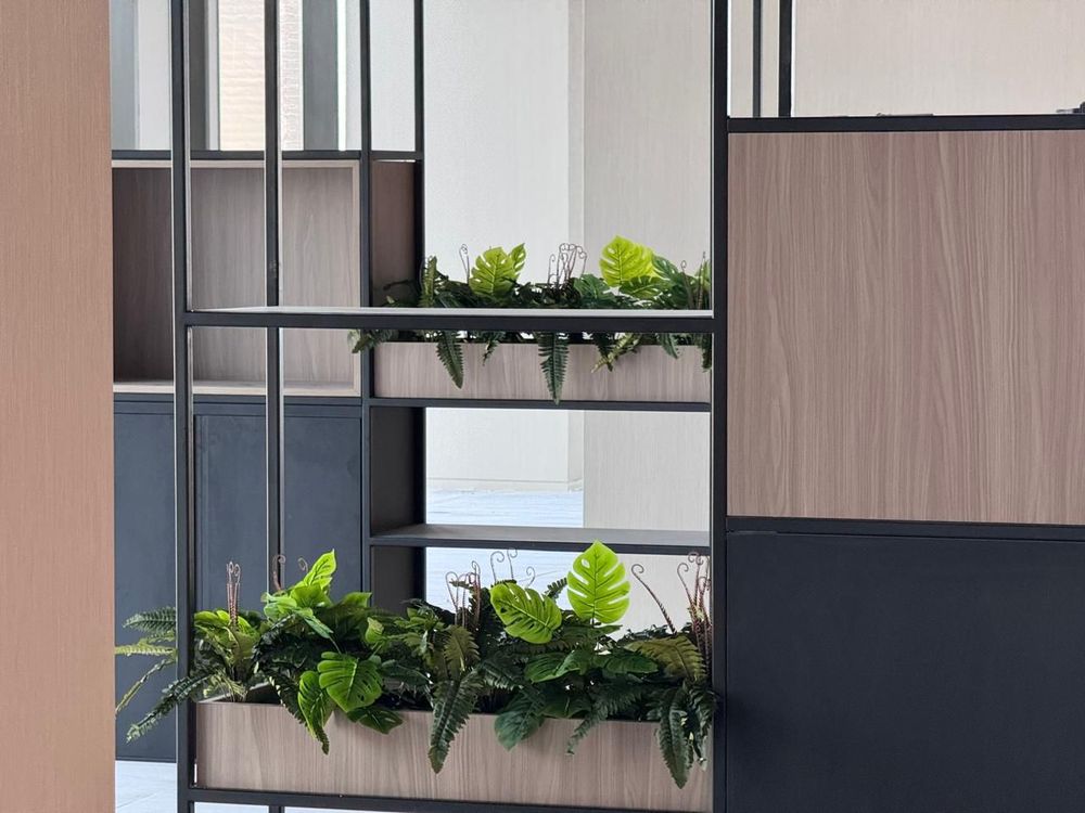 Office plants